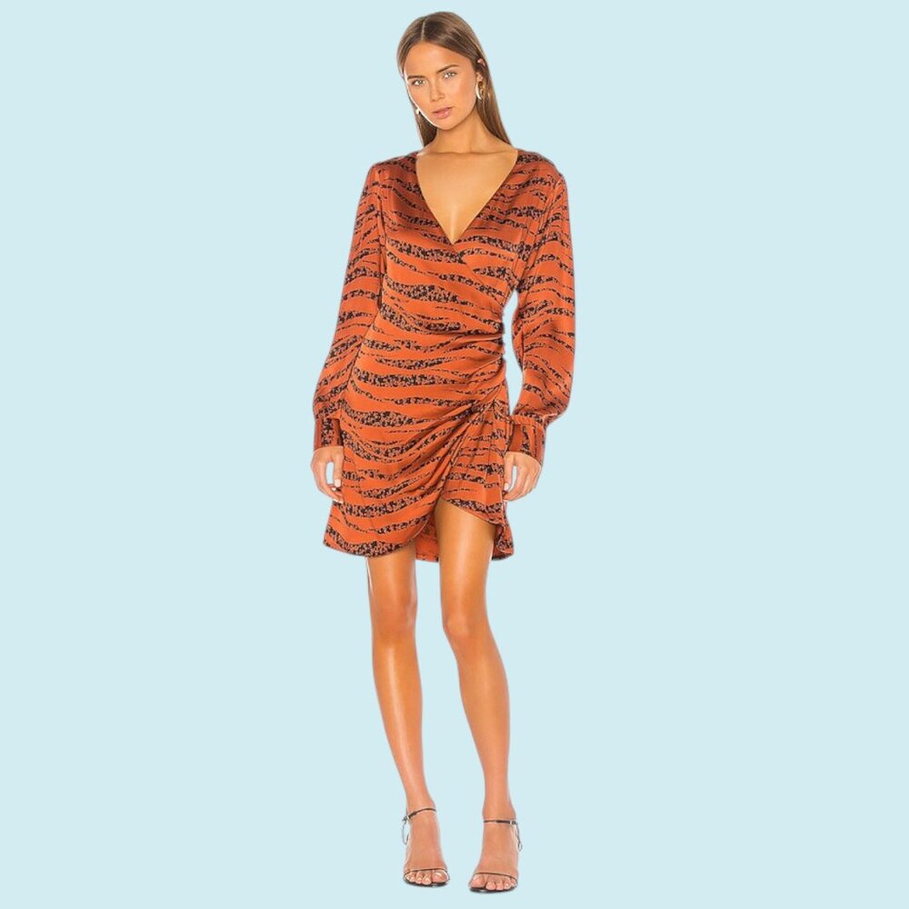 Anine Bing Penelope Dress Women's Small Tiger Print Silk Faux Wrap Mini $400
